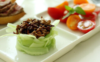 Atkinsonova dieta Atkinsonova dieta