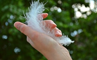 Jak se aplikuje Shellac Jak se aplikuje Shellac