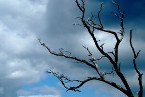 Deprese – první část Deprese – první část