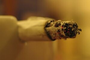 Kouření – O cigaretách a nikotinu Kouření – O cigaretách a nikotinu