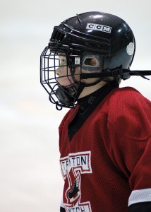 MS v hokeji 2013