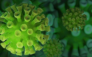Koronavirus a jeho vliv na fyzické i psychické zdraví: Jak nejlépe odolat? Koronavirus a jeho vliv na fyzické i psychické zdraví: Jak nejlépe odolat?