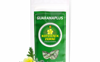 Co má společného guarana a kotvičník? Více než si myslíte Co má společného guarana a kotvičník? Více než si myslíte