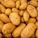 Využijte výprodeje brambor ze sklizně 2020